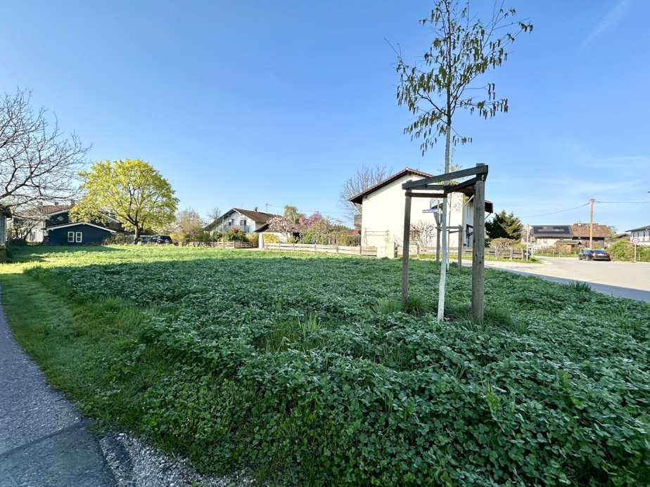 Baugrundstück für ein Einfamilienhaus in ruhiger Lage!