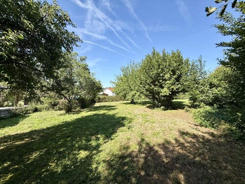 Garten Südseite