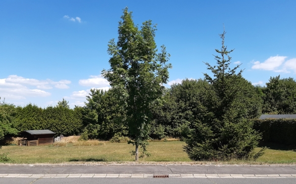 VUB0001299_1