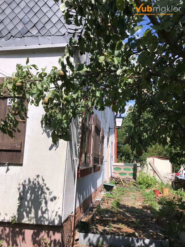 Haus