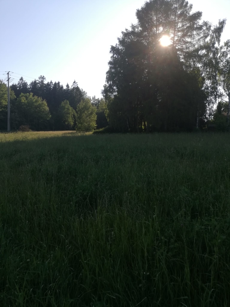 VUB0001588-5