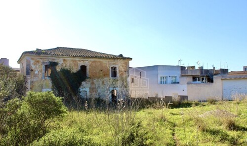 Jardin y fachada posterior