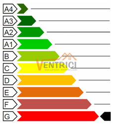 APEscalaG (2)