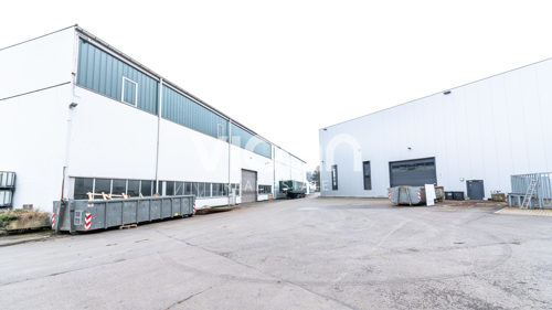 Halle 5