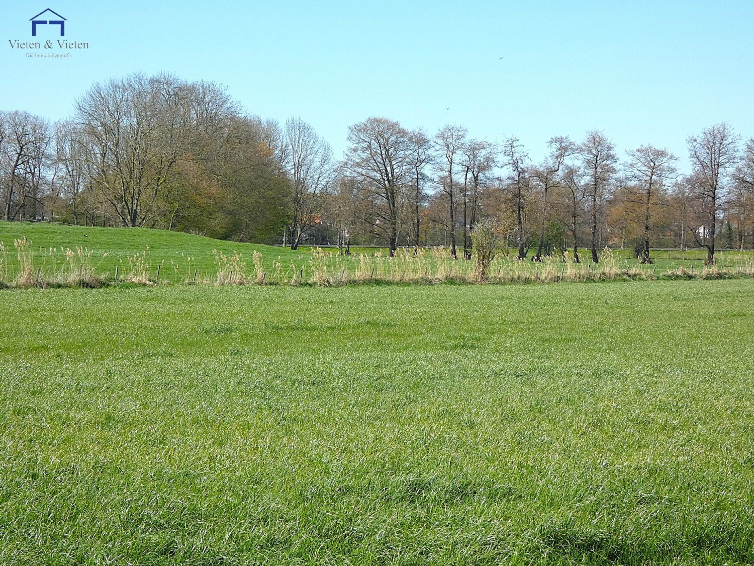 Blick aus dem Garten