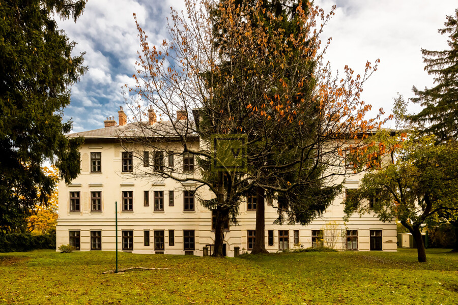 Riha_Dr -Ludwig Rieger Straße_Karoline Rais-20