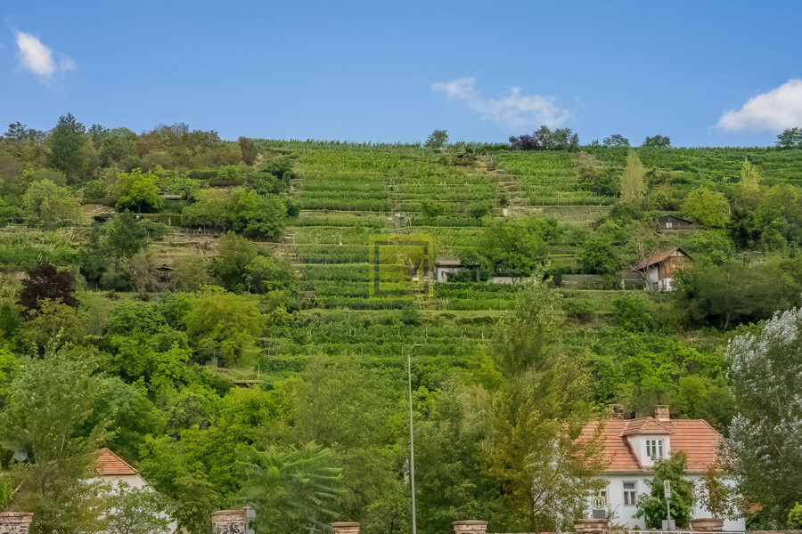 Riha_Krems_web Auflösung-29