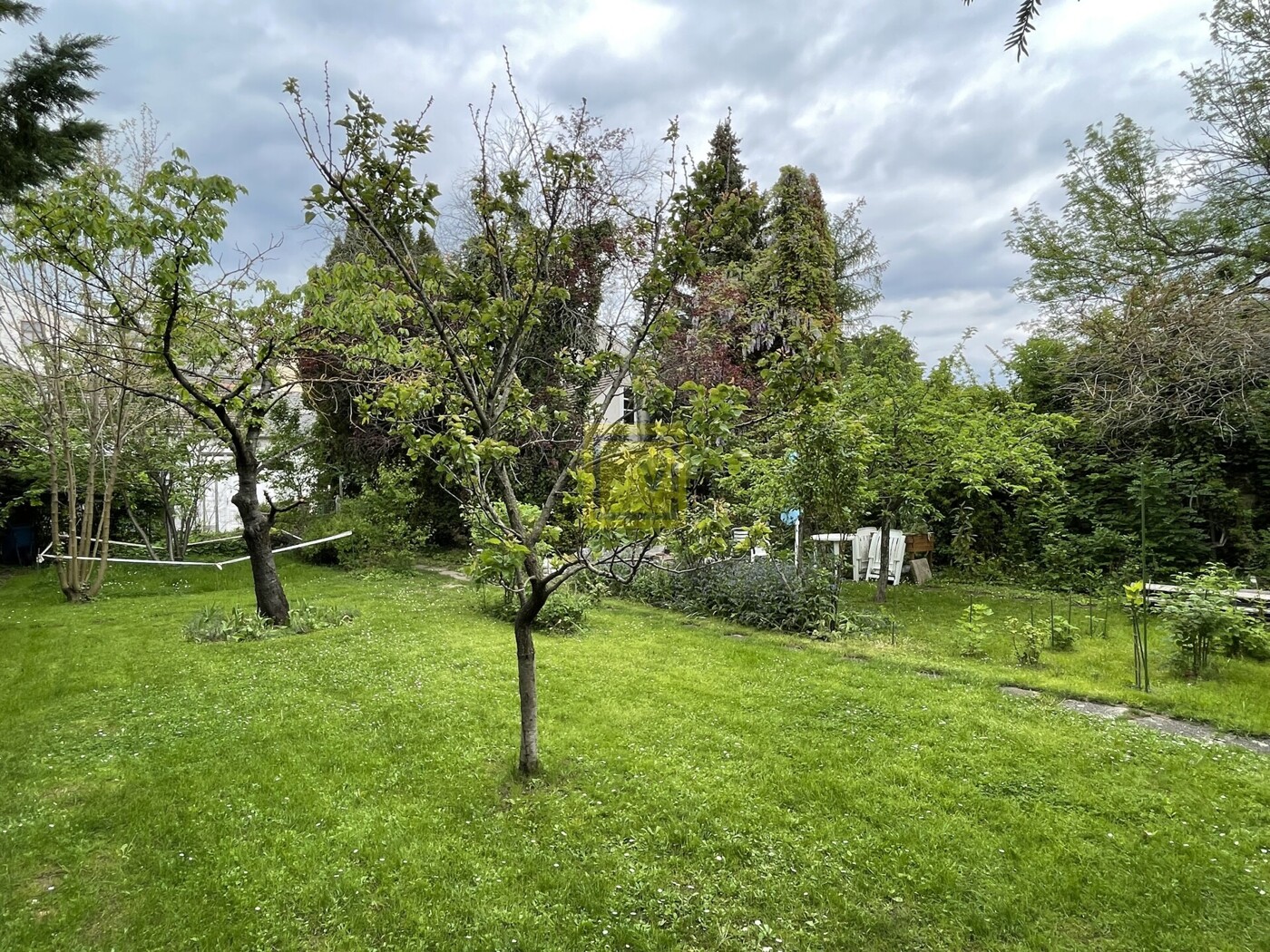 image00016