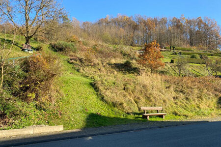 Immobilienbild 2 für Grundstück für Bauherren mit viel Platzbedarf in Flörsbach!