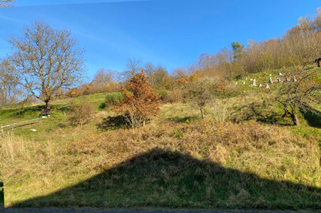 Immobilienbild für Grundstück für Bauherren mit viel Platzbedarf in Flörsbach!