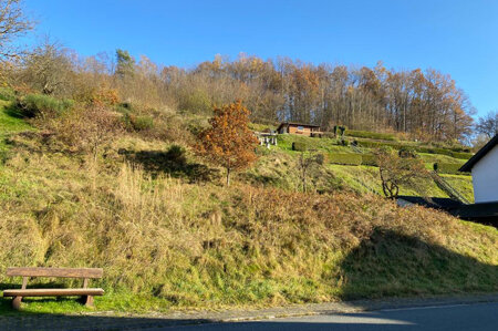 Immobilienbild 3 für Grundstück für Bauherren mit viel Platzbedarf in Flörsbach!