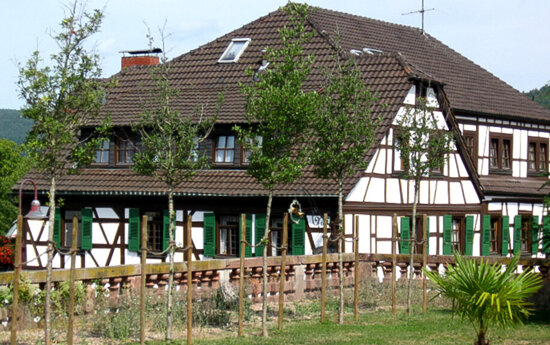 Ansicht aus dem Schlossgarten