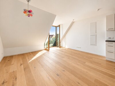 Wohn-Schlafzimmer mit Küche
