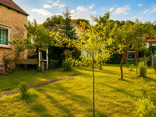 Garten_II