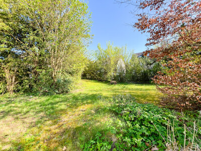 paradiesisches Gartengrundstück