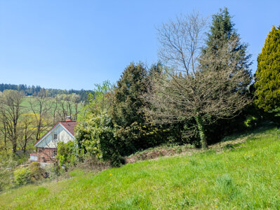 Blick oben W