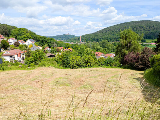 Aussicht Burg Breuberg