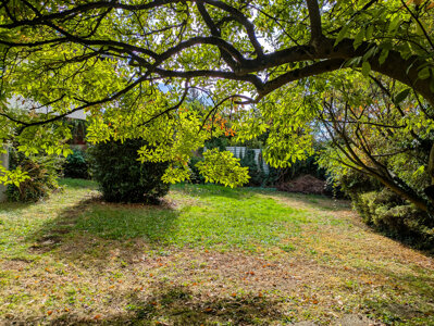Ansicht Garten