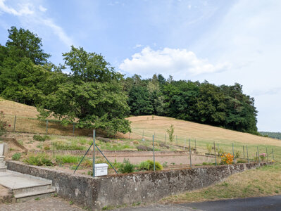 Aussicht Nutzgarten NO