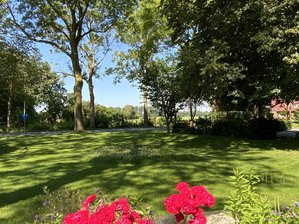 Blick zu Straße und Weiden