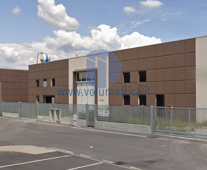 Immagine 2024-06-07 161132