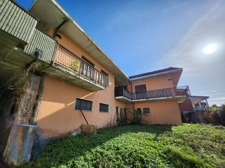 photo1695329767 (11)