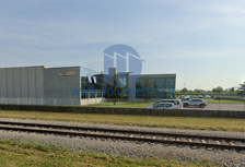 Screenshot 2025-01-17 133559