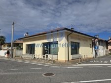 WhatsApp Image 2025-03-26 at 11.57.47 (1)