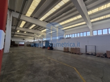 WhatsApp Image 2025-03-12 at 13.45.40 (2)