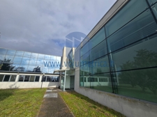 WhatsApp Image 2026-01-30 at 11.27.40