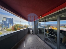 WhatsApp Image 2026-02-03 at 10.13.14 (1)