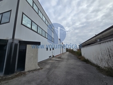 WhatsApp Image 2026-01-28 at 12.34.08