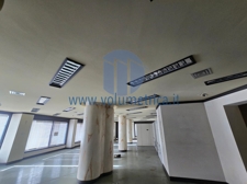 WhatsApp Image 2026-03-24 at 16.58.46 (8)