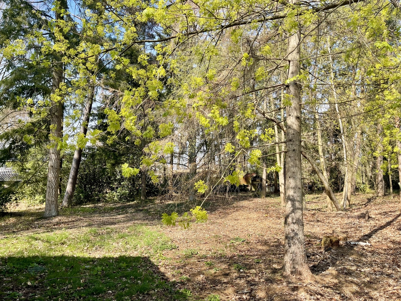 Ihr neuer Gartenplatz