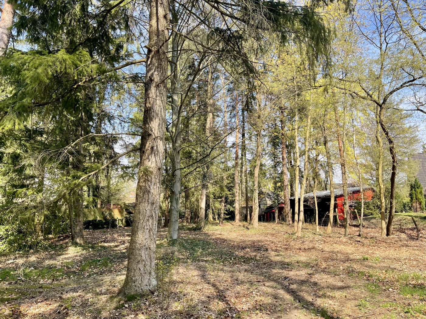 Viel Sonneneinstrahlung