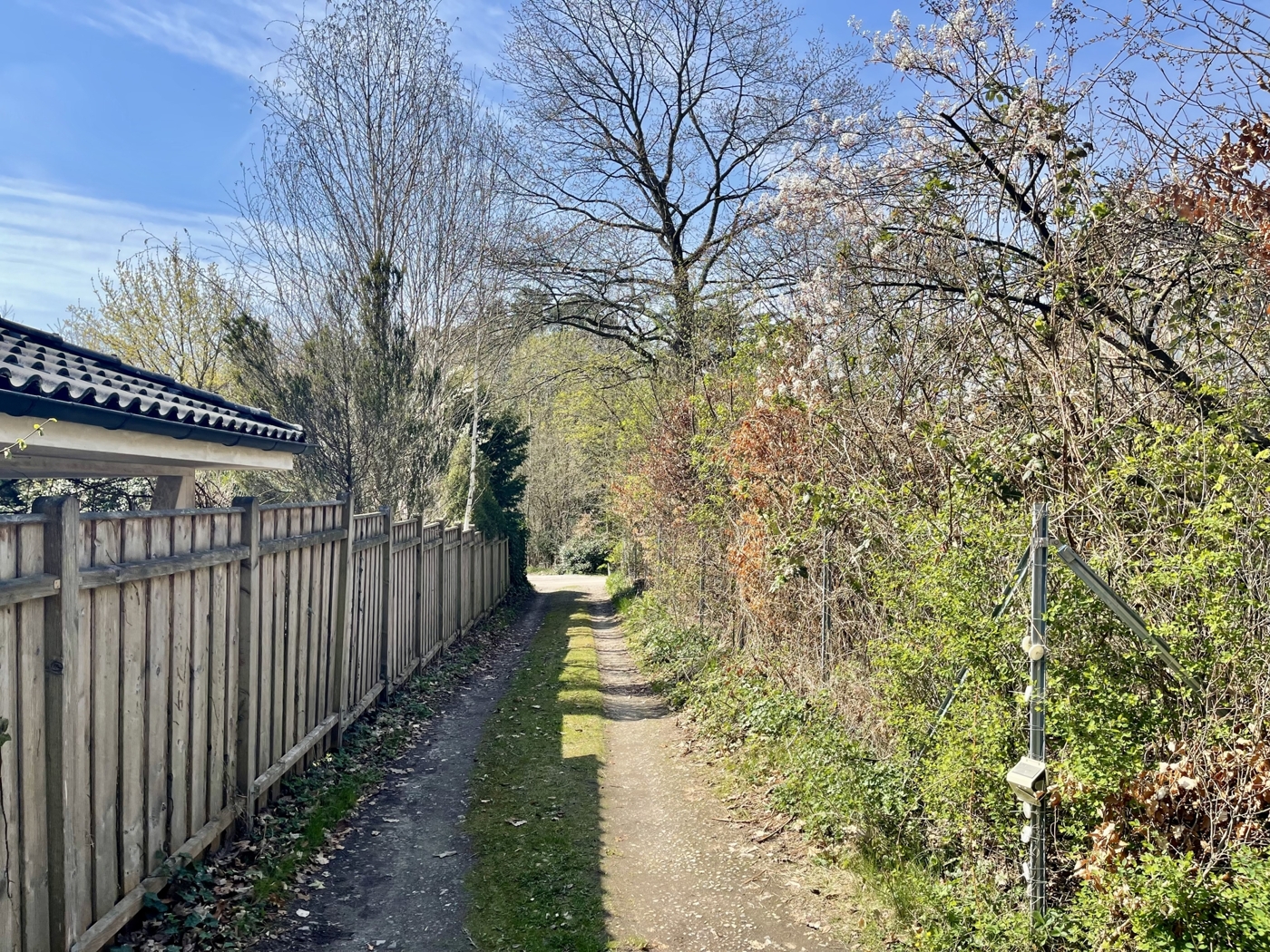 Zufahrt sicht vom Grundstück aus