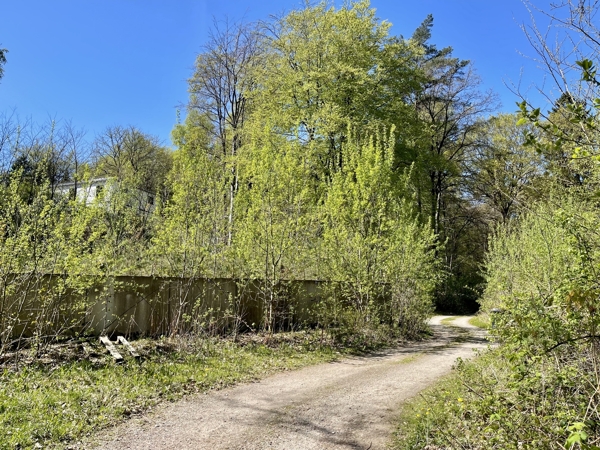 Wohnen in den Harburger Bergen
