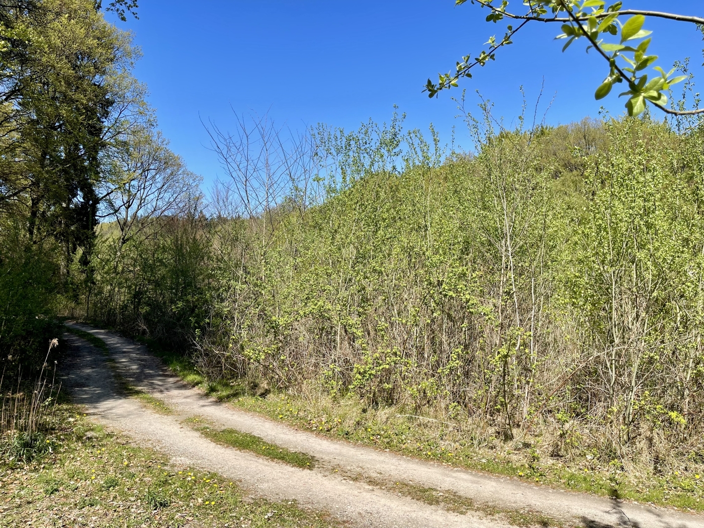 Ebenerdiges Grundstück 