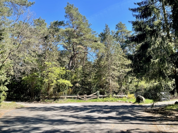 Am Ende einer Sackgasse