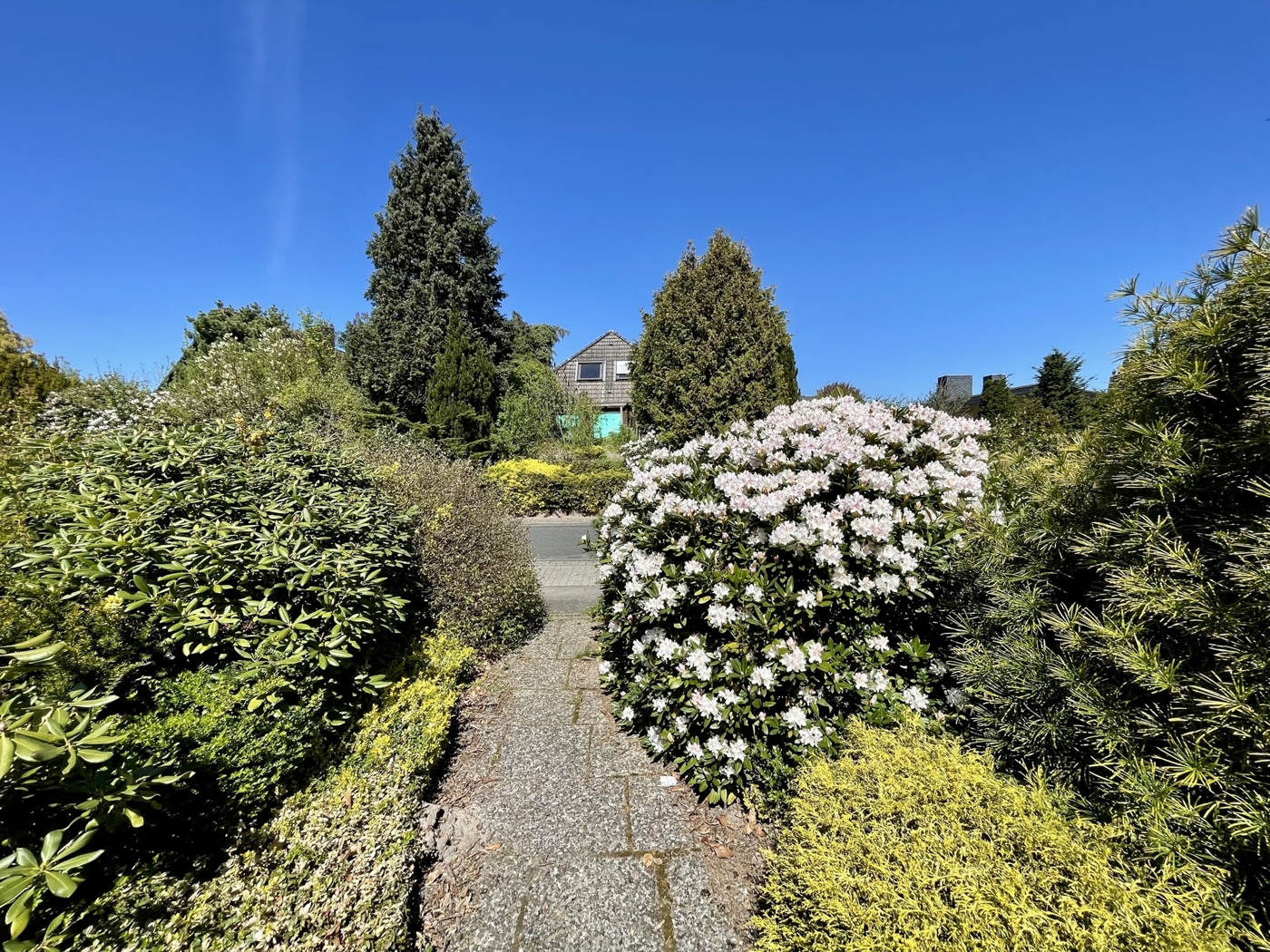 Schön bepflanzter Vorgarten