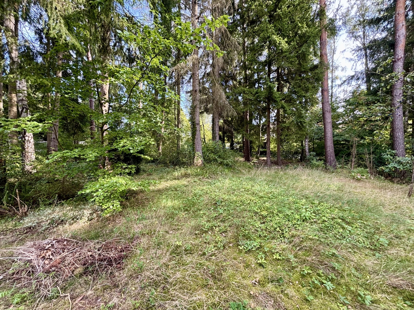 Hier könnte Ihr Zuhause im Grünen entstehen