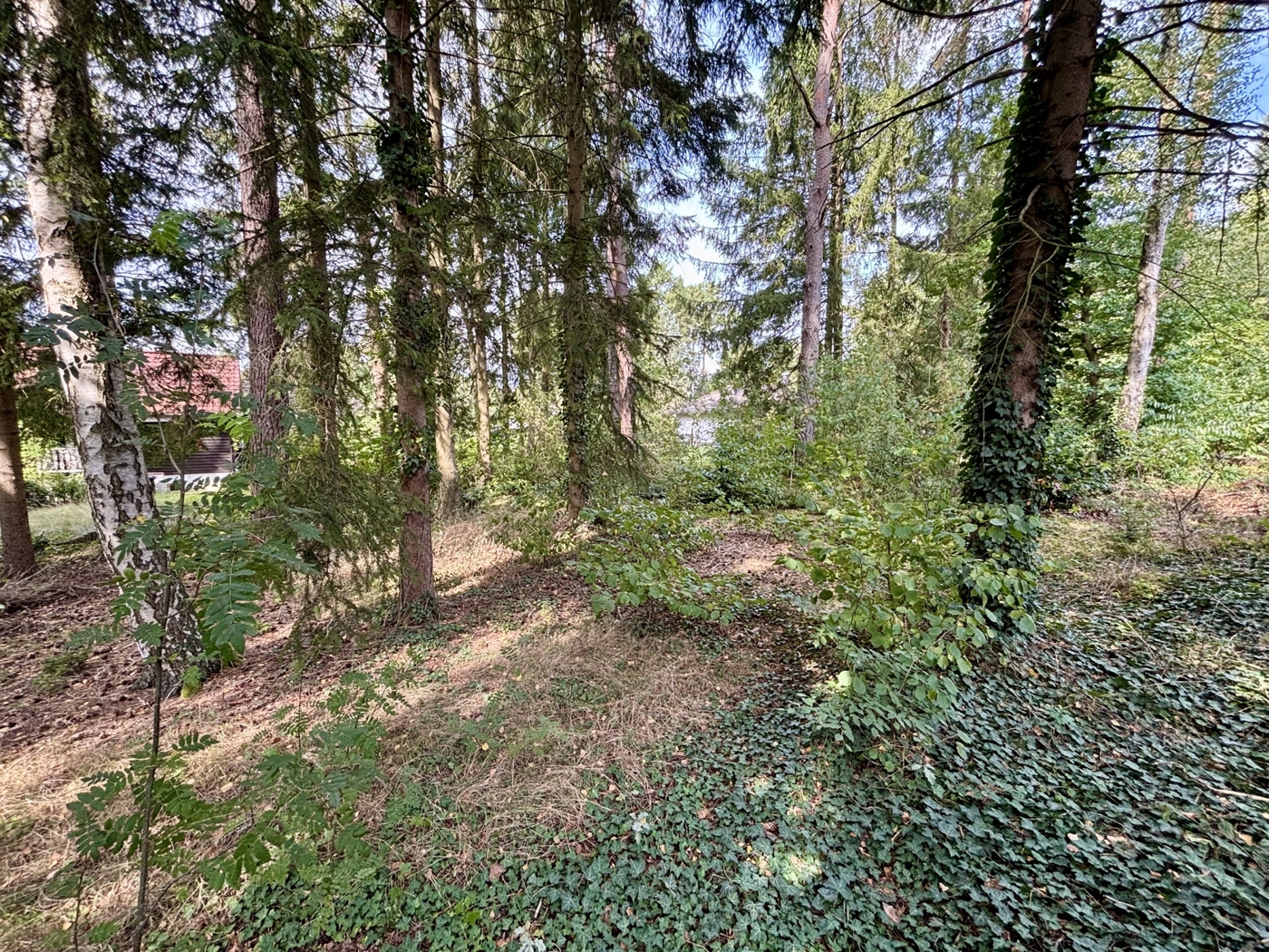 Baugrundstück mit Naturcharakter