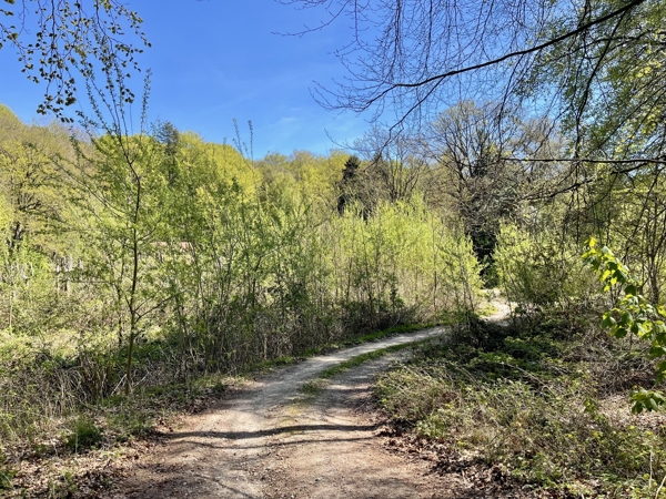 Viel Platz für individuelles Bauen