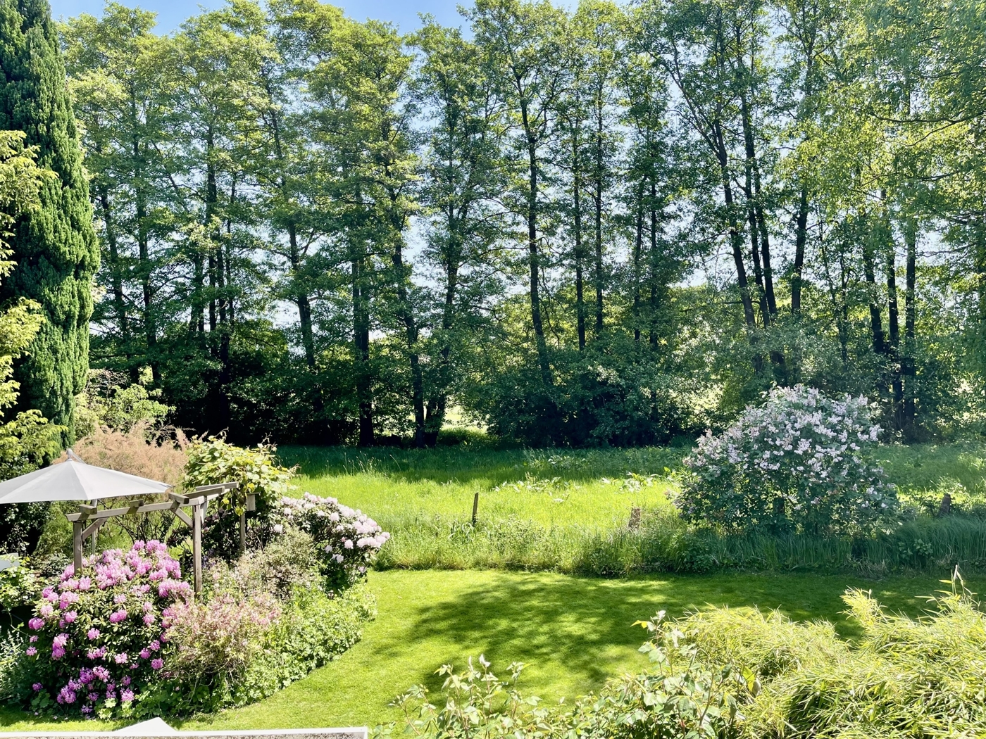 Blick auf angrenzenden Naturschutzbereich