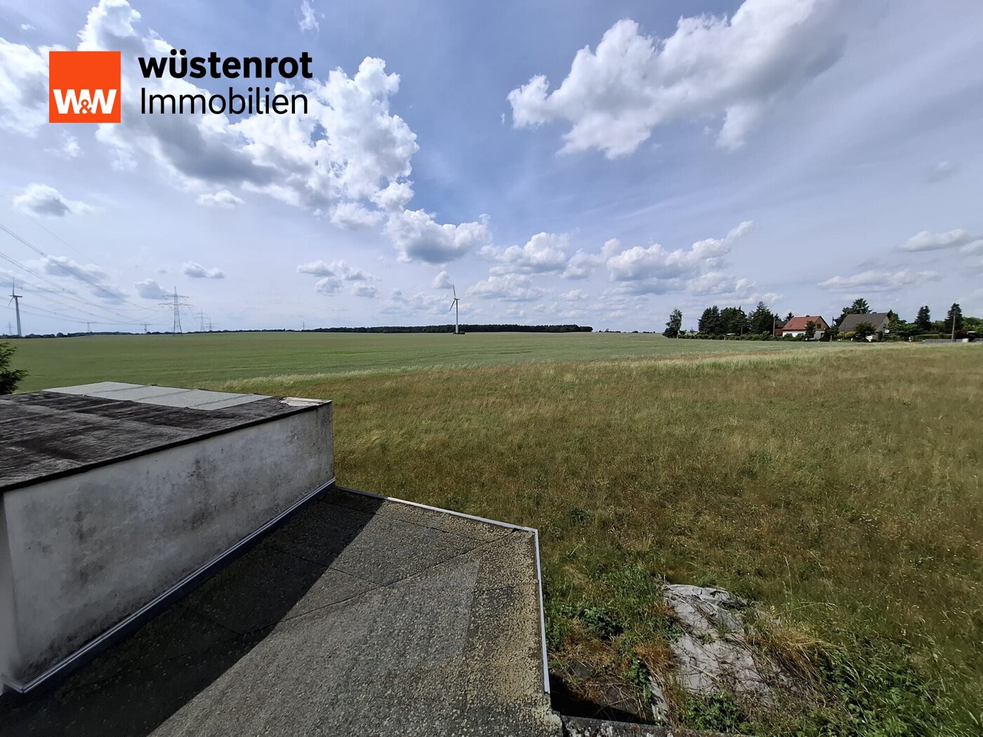 Blick ins Grüne
