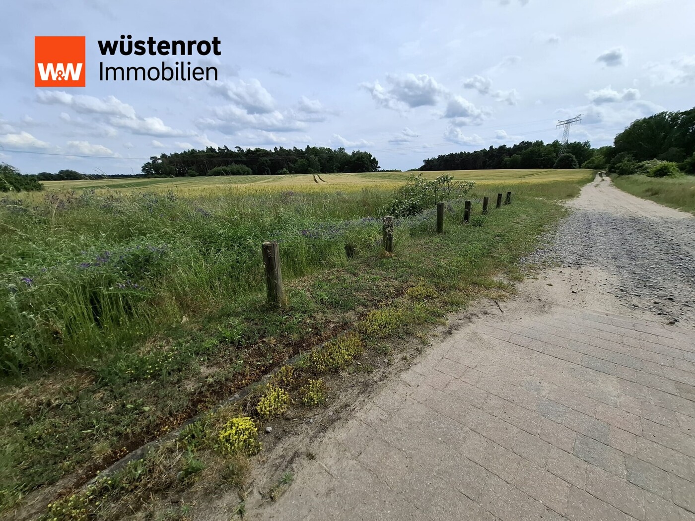 Blick ins Grüne