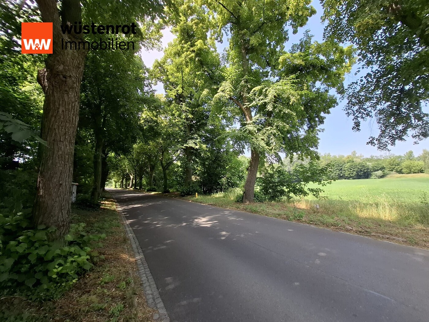 Allee