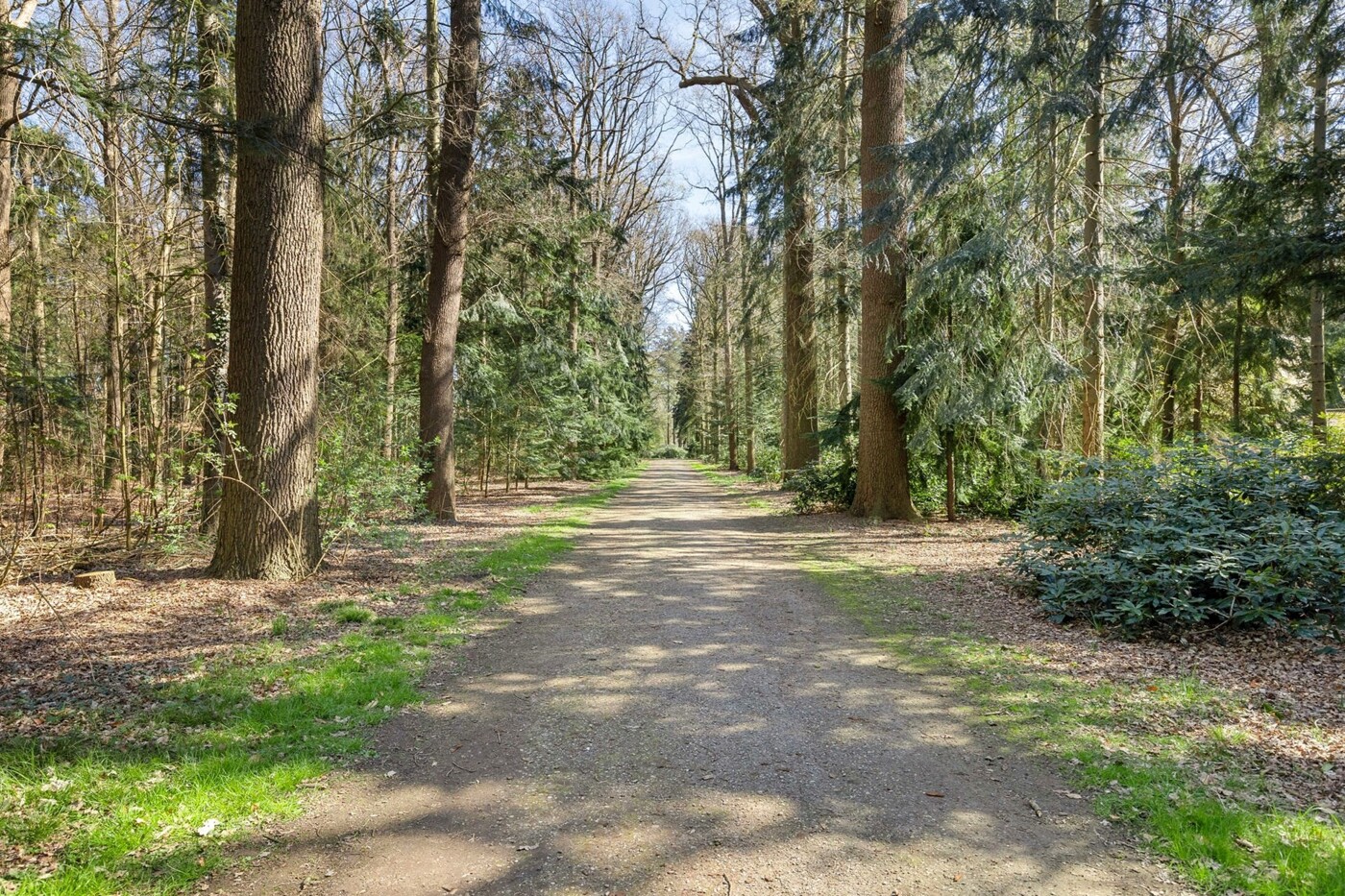 spoorstraat98131sjwijhe-47
