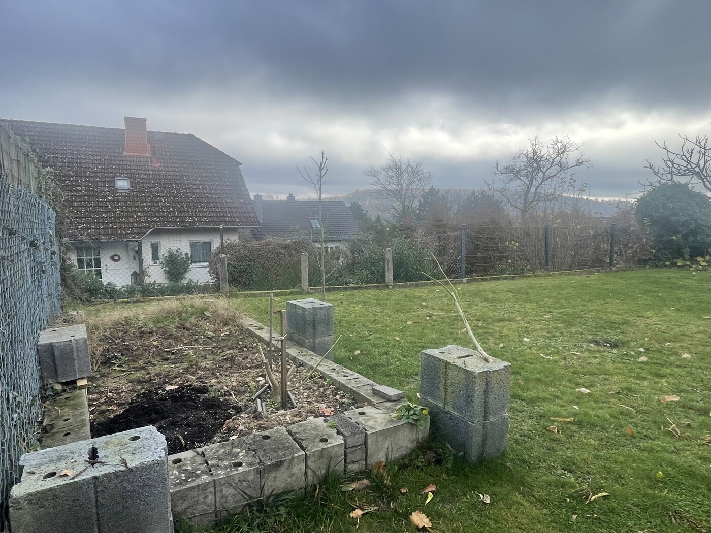 Blick über den Garten