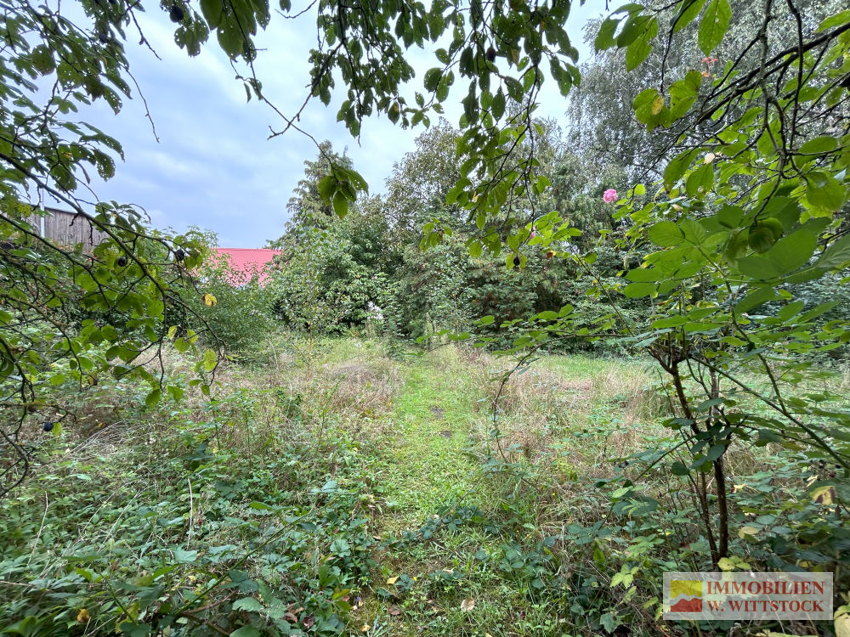 ehemaliger Gemüsegarten